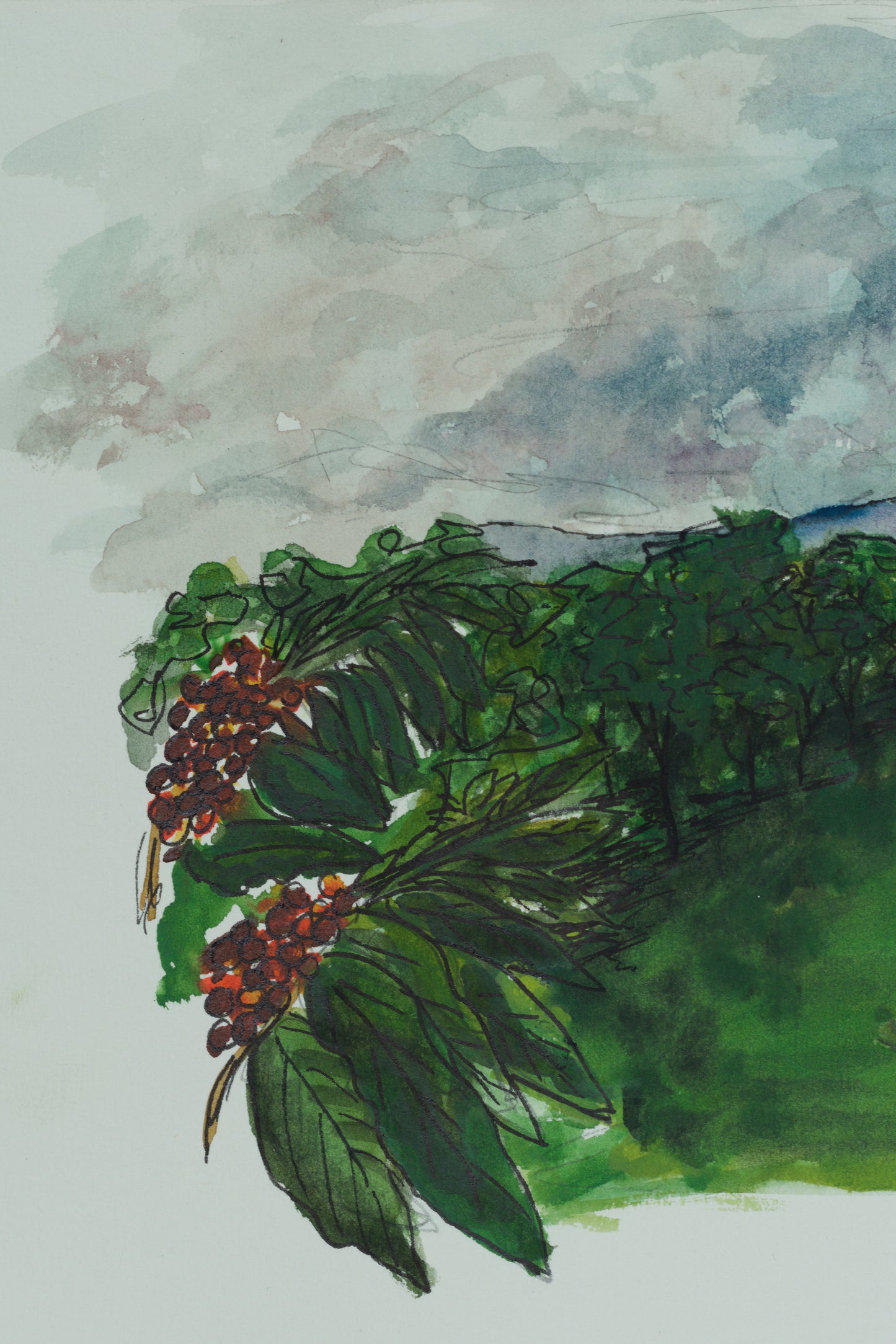 Coffee Fields - Original