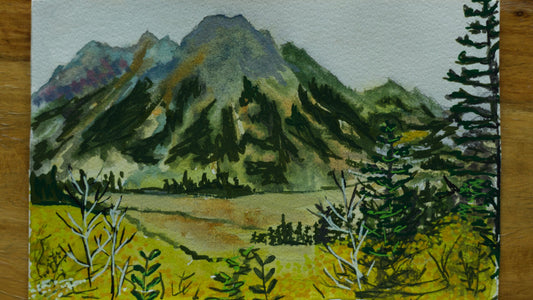 The Mountains Out West - Original
